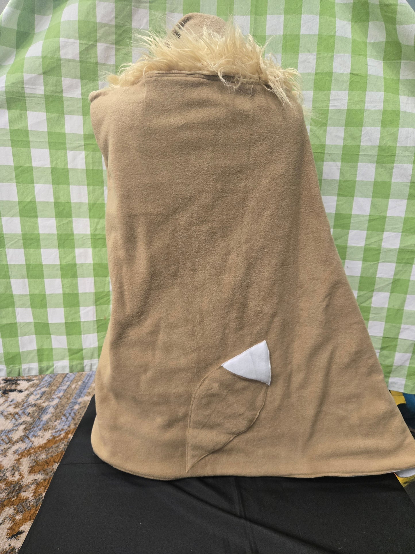 Eevee Cloak